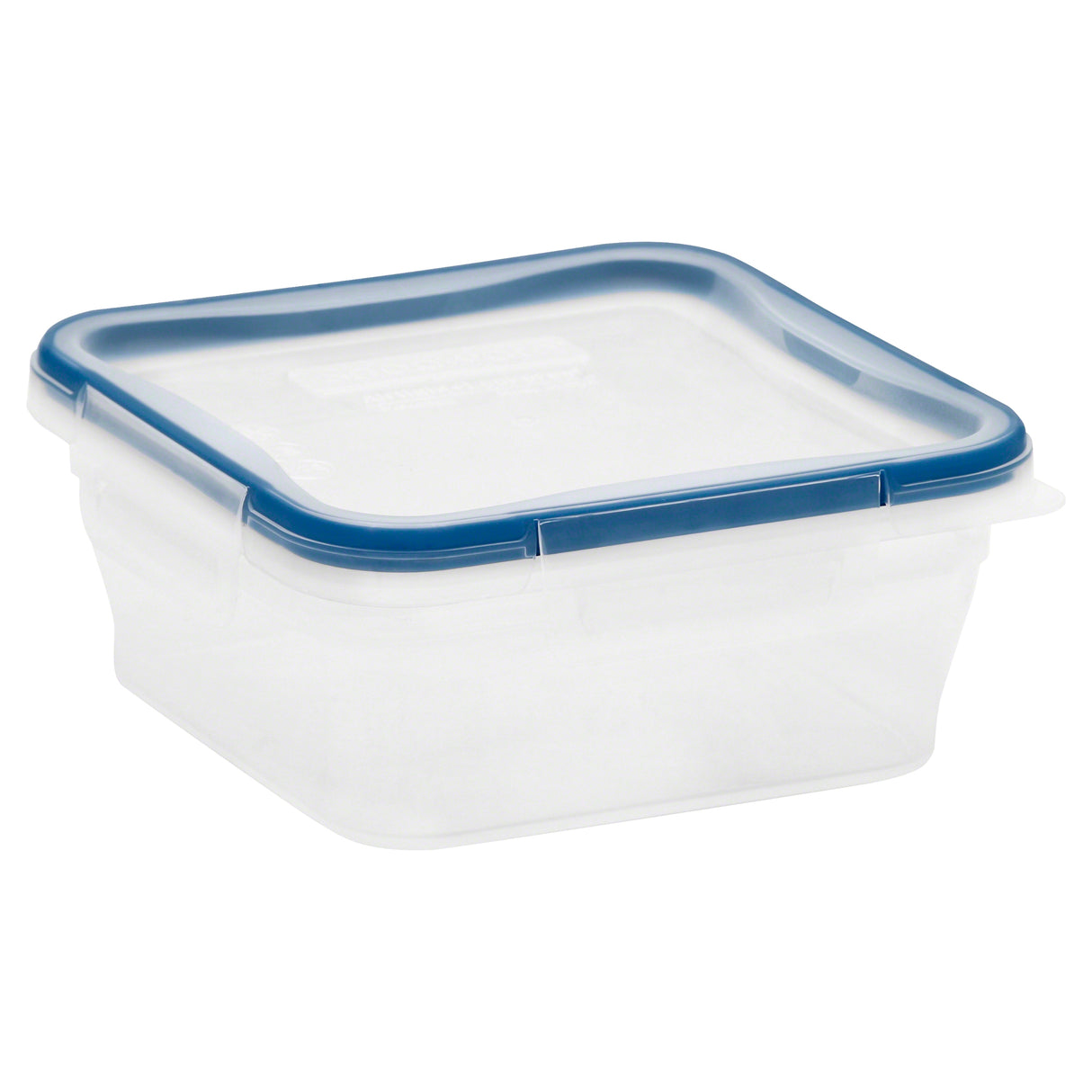 Container  with a blue lid Snapware